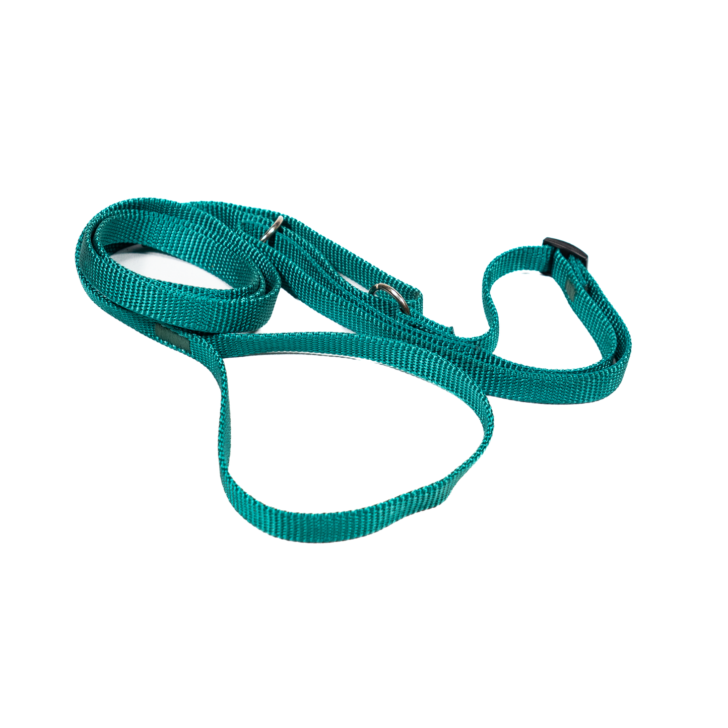 agility leash