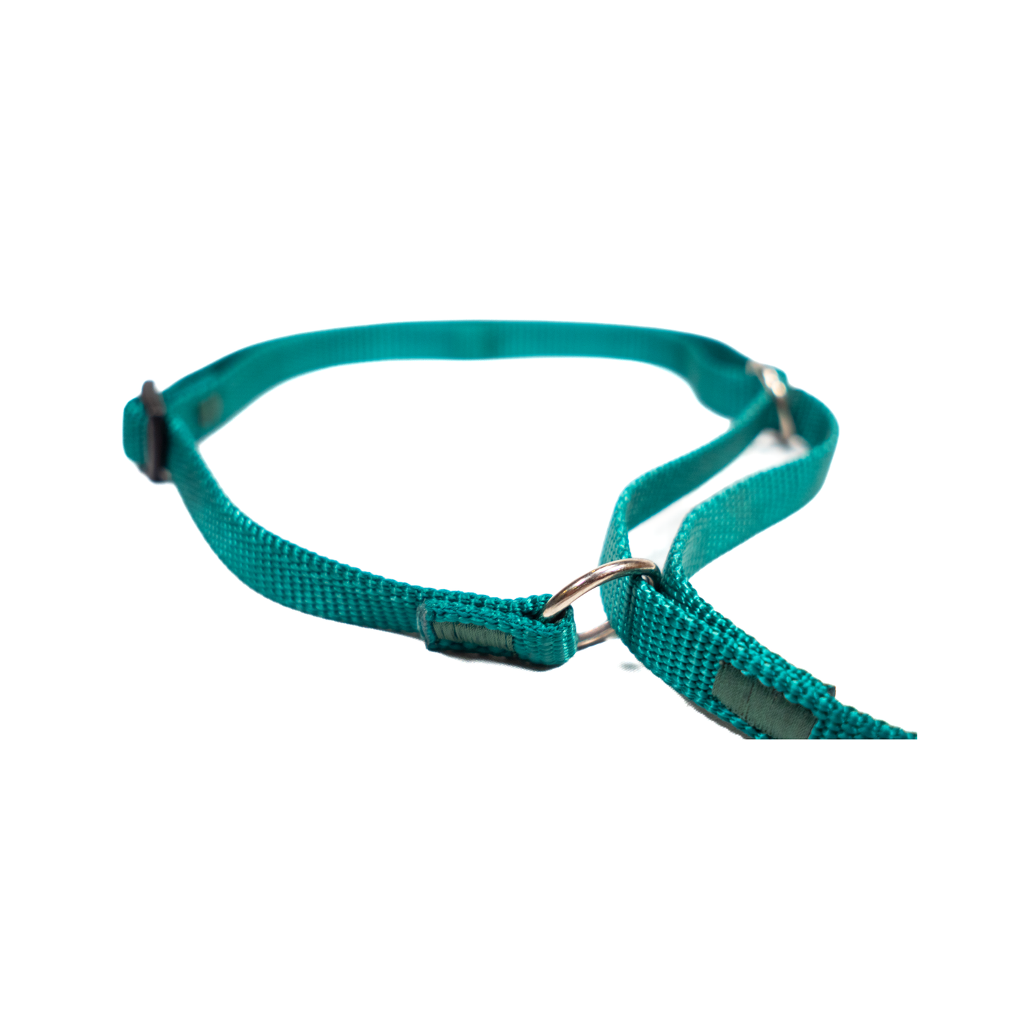 agility leash