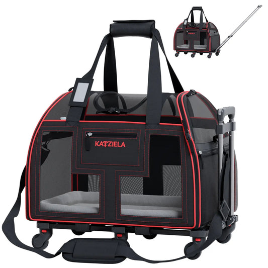 Transport bag with wheels