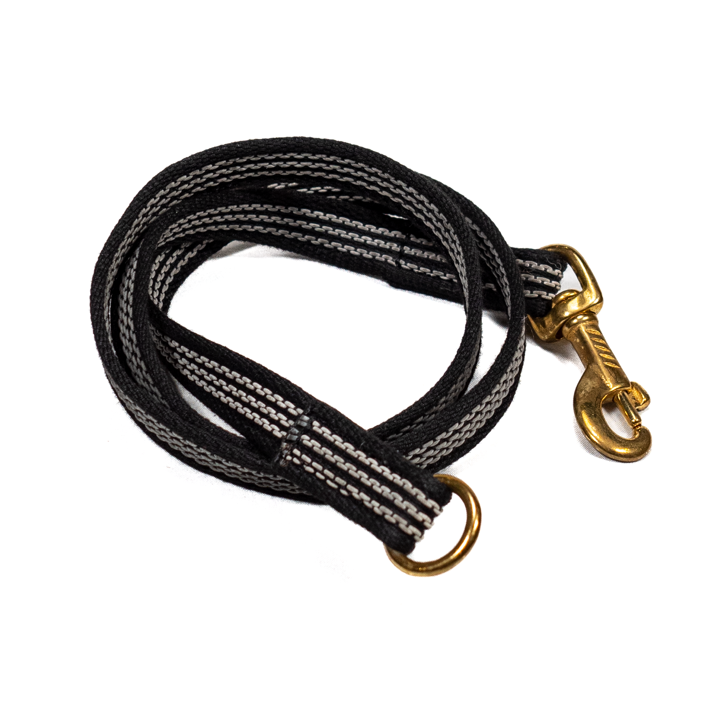 Training leash - rubberized