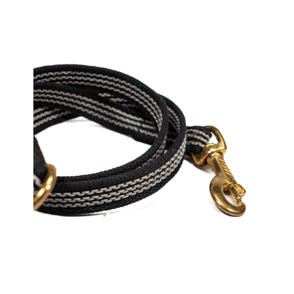 Training leash - rubberized