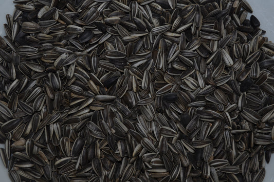 Striped sunflower seeds